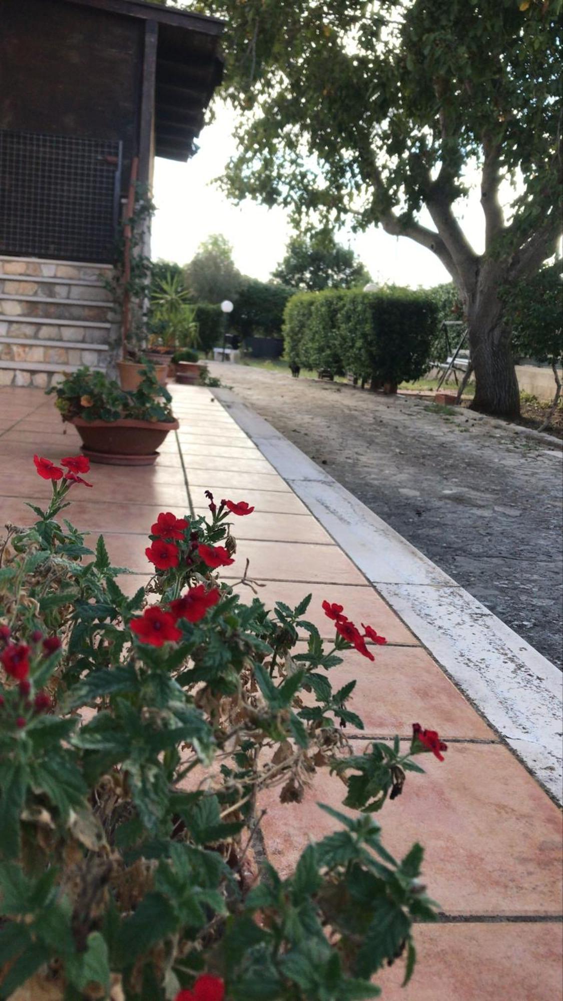 Villa Marida Gioia Del Colle Exterior photo